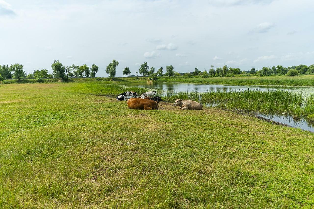 Agroturystyka Carski Trakt Wizna Luaran gambar